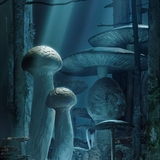 菌と鉄のイメージ